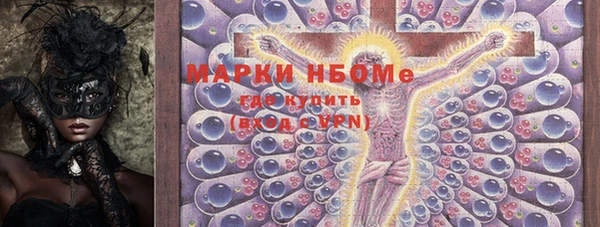хмурый Арсеньев