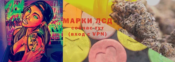 хмурый Арсеньев