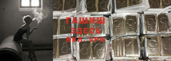 хмурый Арсеньев
