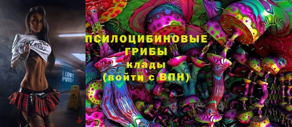 хмурый Арсеньев